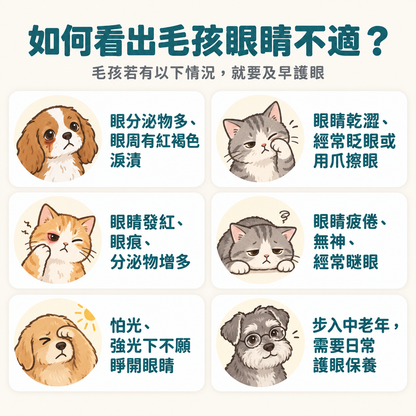 【活康寶】寵物目之丸