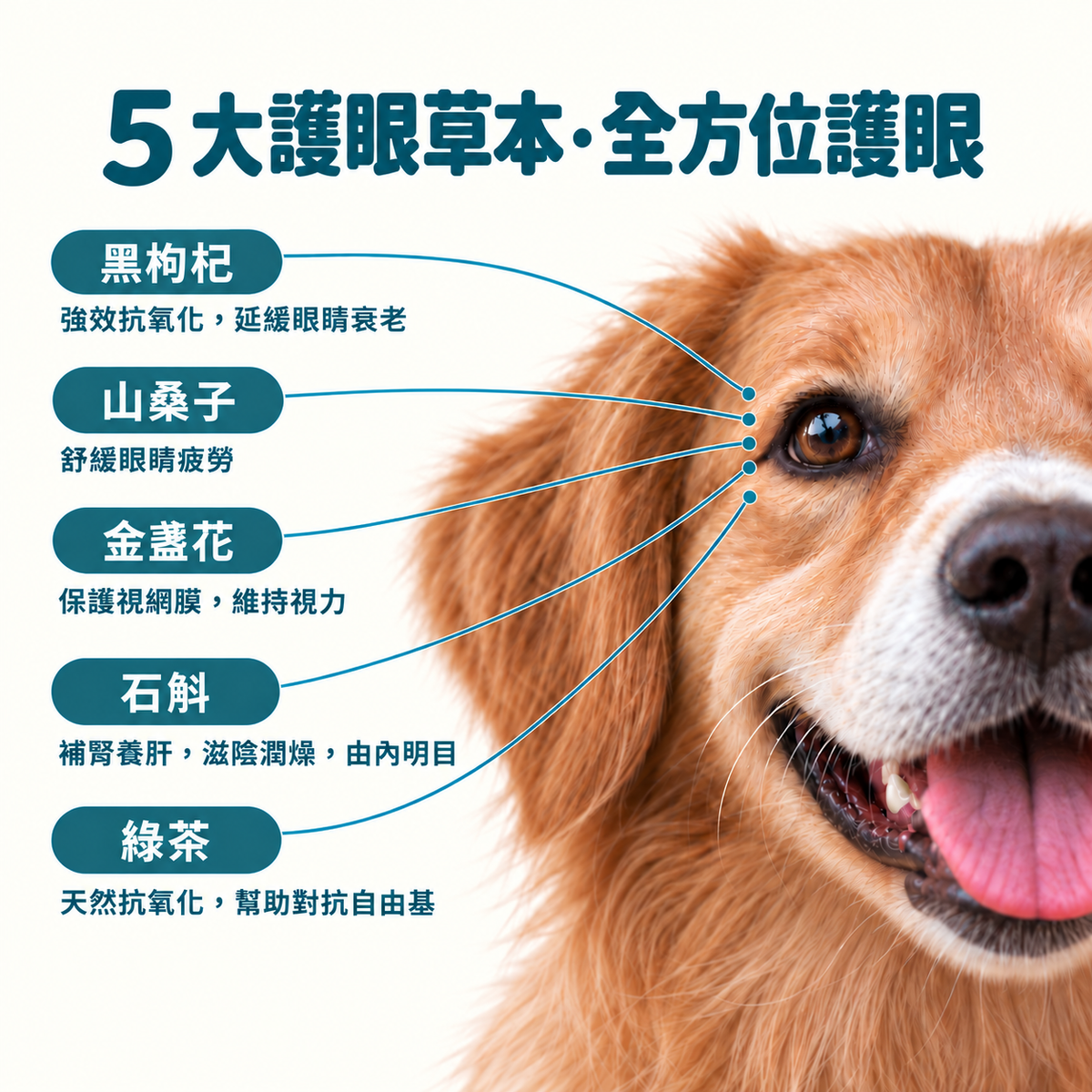 【活康寶】寵物目之丸