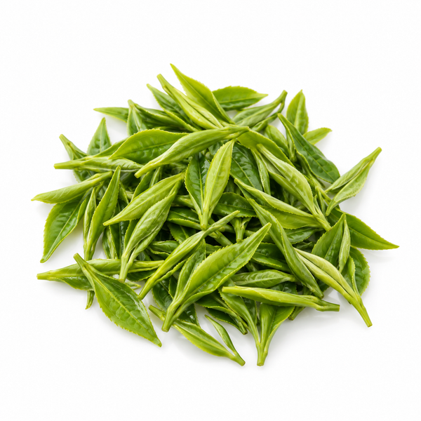 綠茶